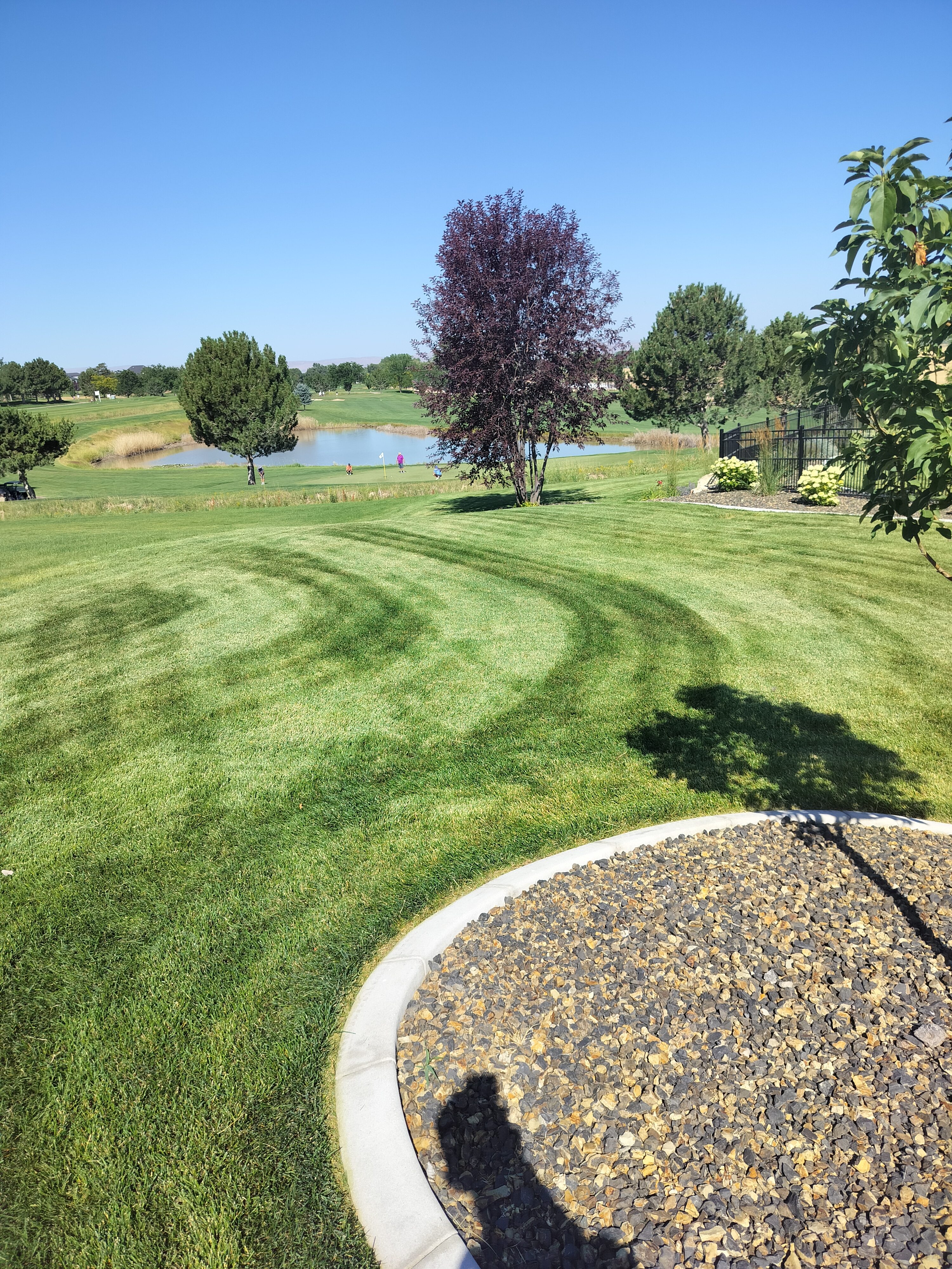 Green Grin maintained lawn with clean stripes near a pond
