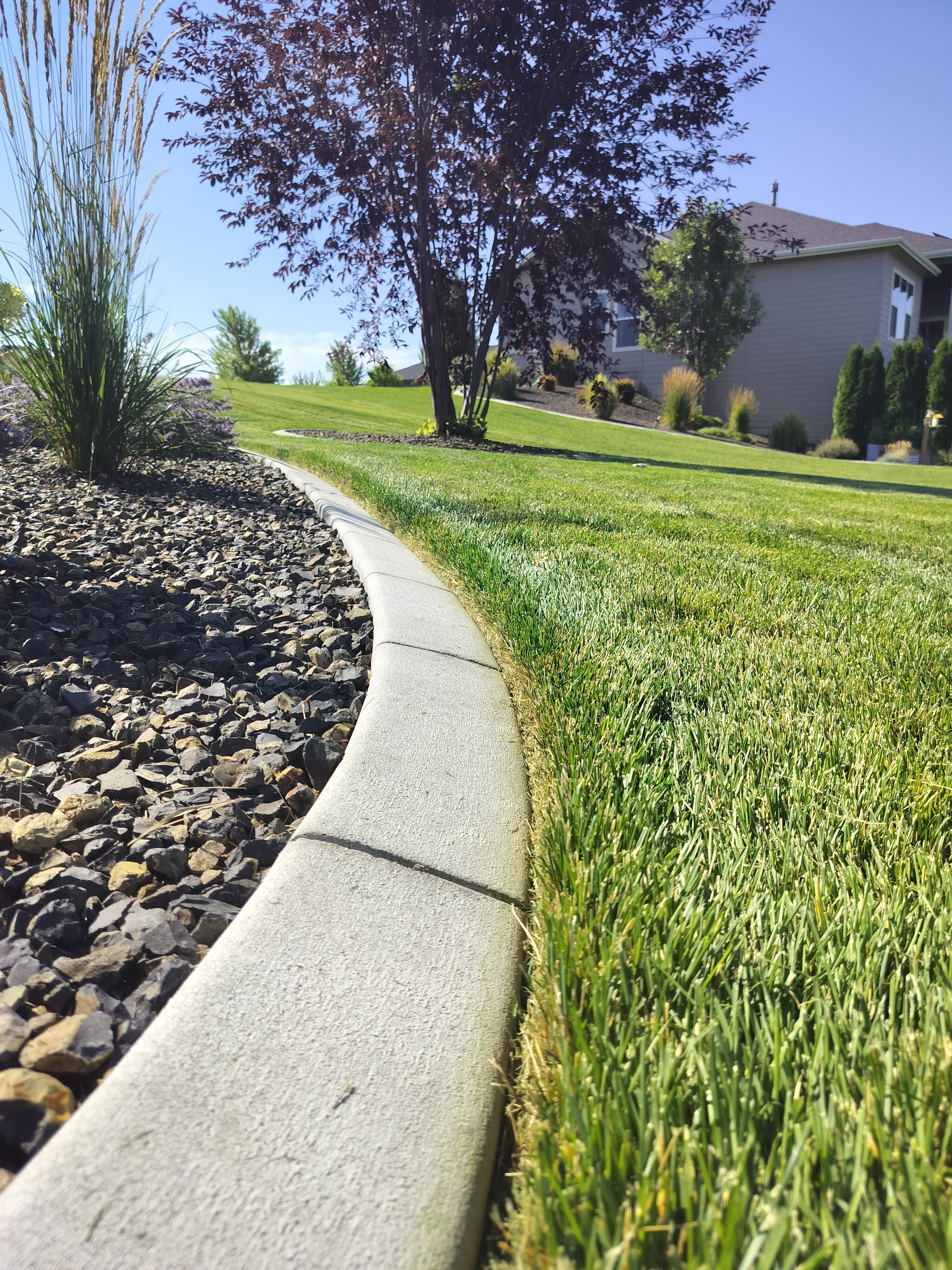 Clean edging detail along concrete curb and landscape rock